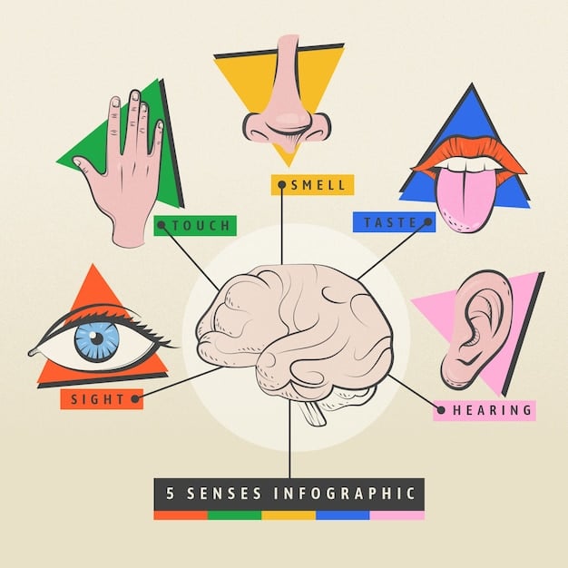 A graphic depicting the three main learning styles (visual, auditory, kinesthetic) with corresponding study techniques for each (e.g., diagrams for visual, audio recordings for auditory, hands-on activities for kinesthetic).