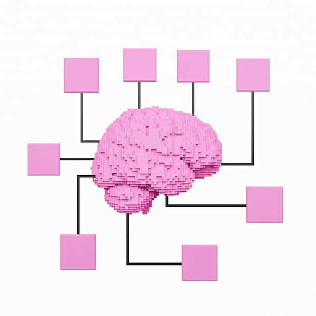 A diagram illustrating the verbal and non-verbal systems interacting within the brain during the learning process, showing information flow and interconnections.