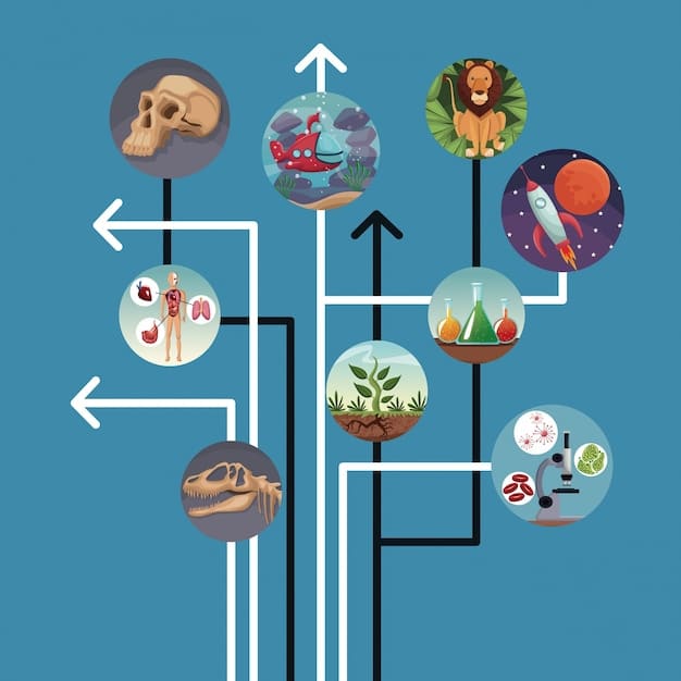 A mind map illustration showing a central word surrounded by related images, synonyms, and antonyms, visualizing the word association technique.